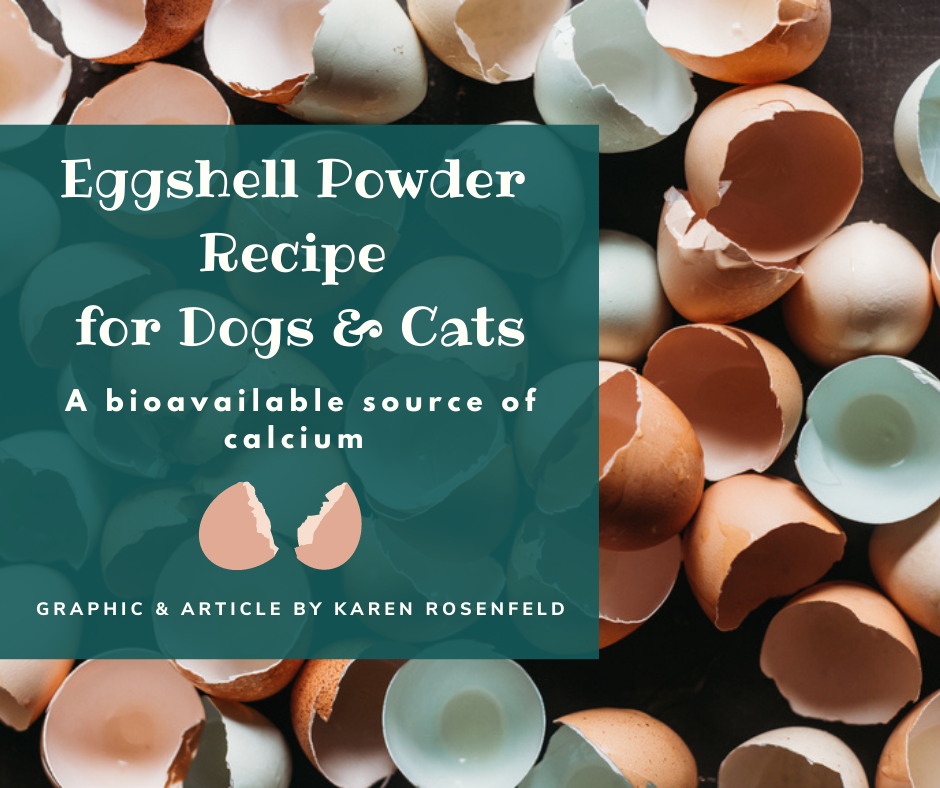 Natural source of top calcium for dogs